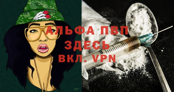 бошки Дмитров