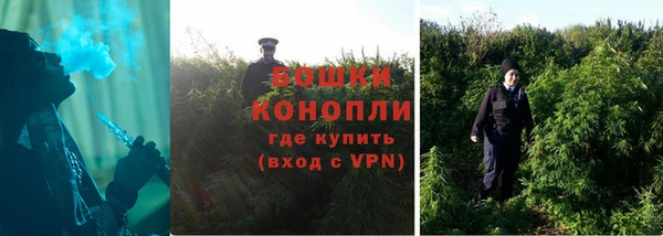 дурь Дмитриев